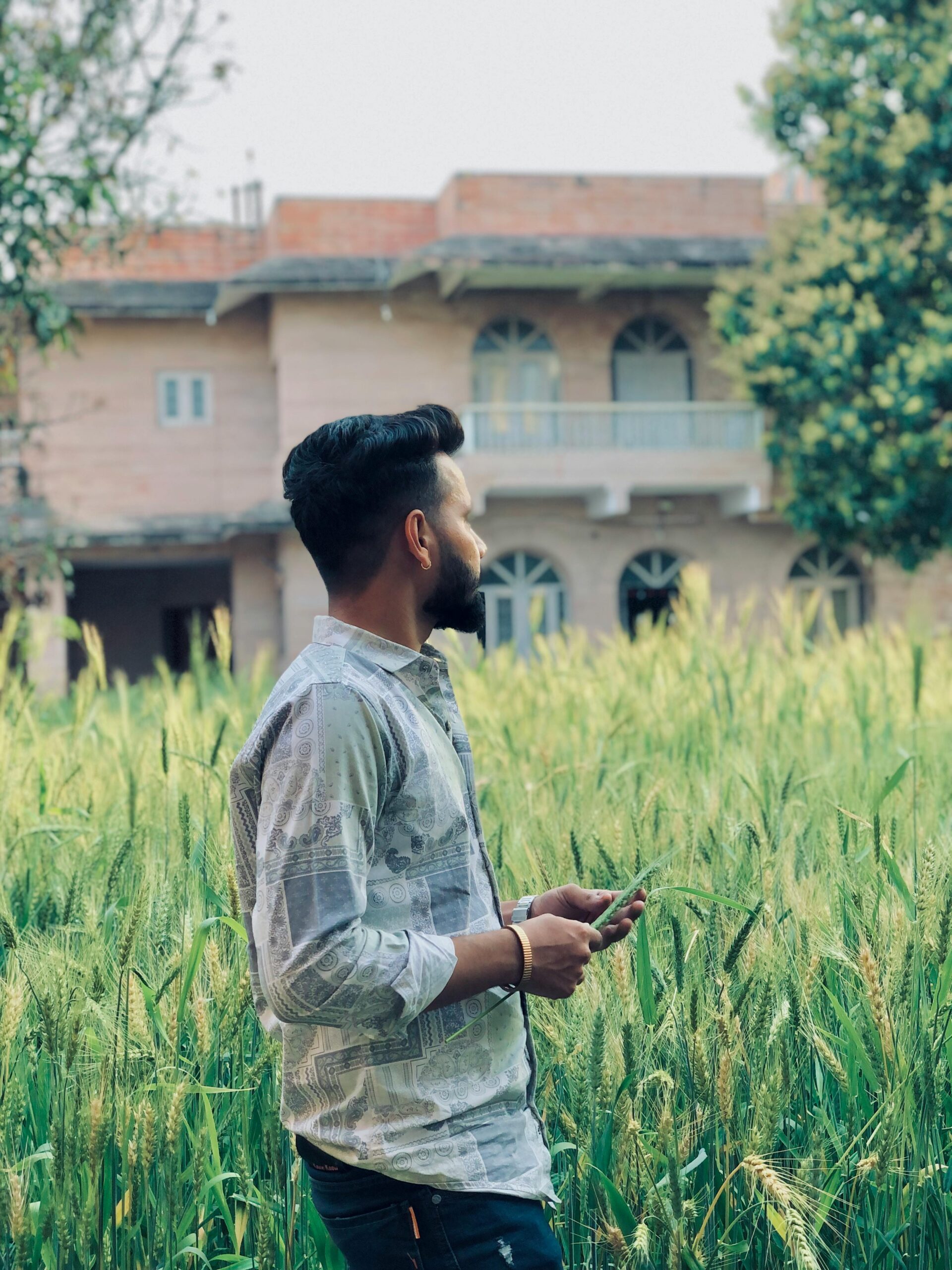 A man stands in a vibrant wheat field holding a smartphone, with a rural house in the background.